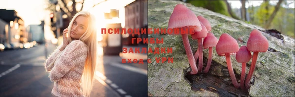 хмурый Абдулино