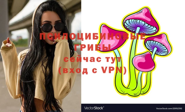 а пвп мука Абаза